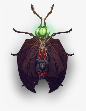 Praise Be Unto The Almighty Void Moth And His Derpy - Japanese Rhinoceros Beetle