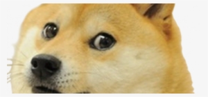 Welcome To The Site Devoted To Praising The Doge - Doge U Mad Bro