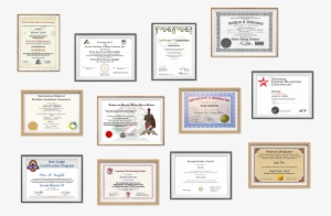 All The Weird Certifications You Can Get Online, From - Silver