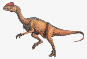 Imagen Del Dinosaurio Dilophosaurus