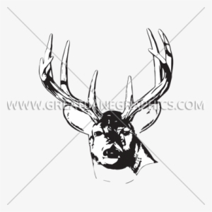 Vector Cartoon Hand-drawn Line Stars, Little Star Sky, - Sketch