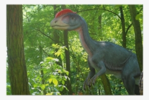 Dilophosaurus Wetherilli, Dilophosaur Poster • Pixers® - Dilophosaurus