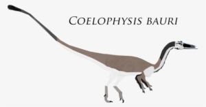 Art From Http - Velociraptor