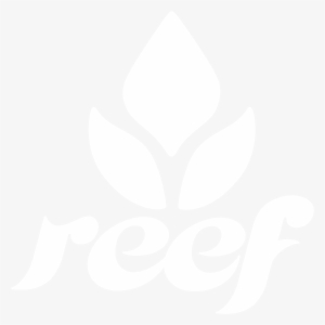Skullcandy Logo Transparent - Reef Logo Girls