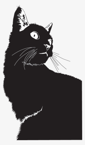 Cat Mischief Managed - And