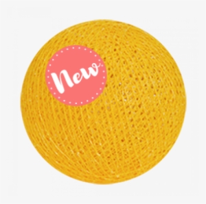 Valencia Orange
