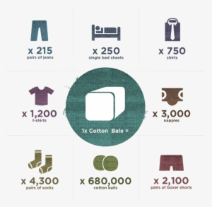 Uses Of Cotton - Printing