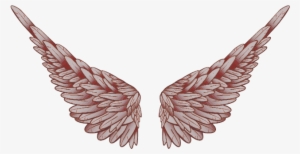 Baby Angel Wings Png Angel Praying T - Logo