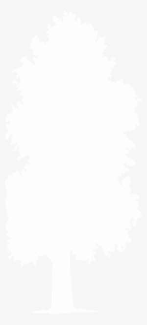 Contact Expert Lawn & Tree For All Your Mowing, Trimming,