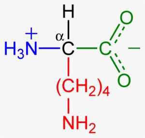 Full Size - 2 Methylbutylamine