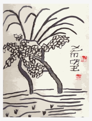 Cherry Blossoms - Chinese Hope - Cherry Blossom