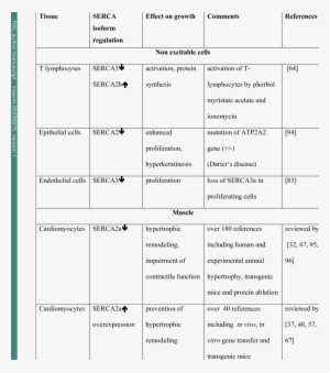 Variation Of Serca Isoforms Expression In Different - Serca