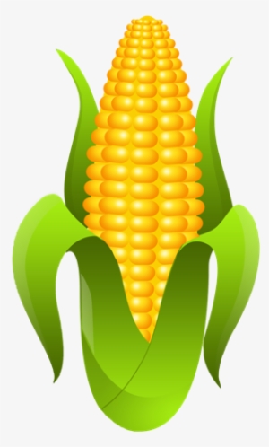 Trazemos A Imagem Da Espiga, Que Esconde Uma Grande - Espiga De Milho Png