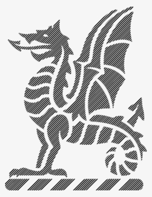 Dark Wyvern Fade - Newington College Football Association