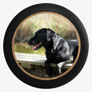 Black Lab Retriever Hunting Dog On The Dock Jeep Camper