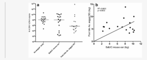 Zikv Detection By Qpcr In Single Infected Aegypti Aegypti - Common Fig