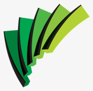 Plant Cell Walls - Arc Centre Of Excellence For Creative Industries