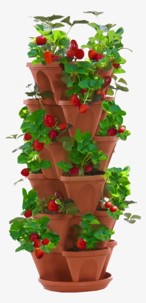 Strawberry Planter - Stacked Strawberry Planter