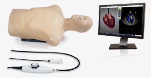 Gui Screen - Tee Simulator