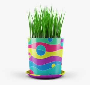 Tvi Garden Planters Proposal - Garden