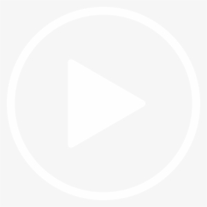 Embedded Media In Article - Software