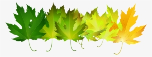 Green Autumn Leaves Transparent Clip Art Image - Autumn Leaves Green Png