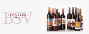Bodegas San Valero - Bodegas San Valero Wines