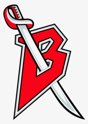 Report - Buffalo Sabres Red And Black Logo