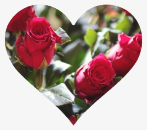 Celebrate Valentine's Day At One Of These Local Fancy - Primarosa Flowers