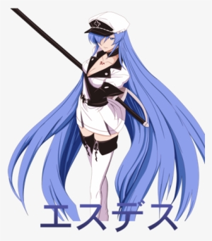 Gender, Female - Akame Ga Kill Anime Wall Print Poster Decor 32x24