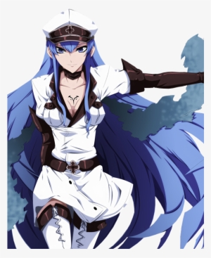 No Caption Provided - Esdes Akame Ga Kill