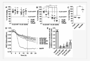 Segment 19 29 S20g Forms The Toxic Core Of Hiapp And - Diagram