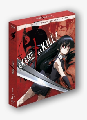 Review De "akame Ga Kill " Ed - Akame Ga Kill - Collection 1 Episodes 1-12 Dvd