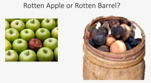 Rotten Apple Barrel