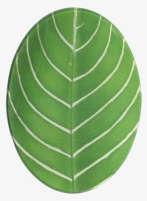 John Derian Company Inc Fern Leaf - Platter