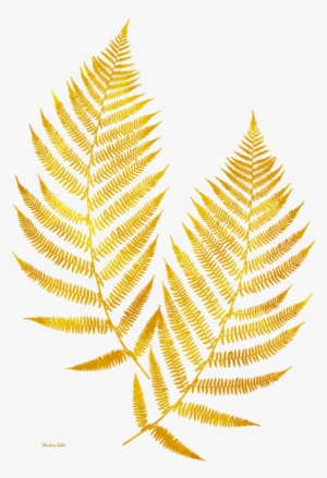Click And Drag To Re-position The Image, If Desired - Fern Art