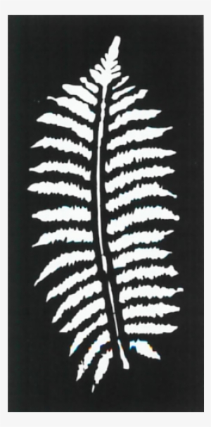 Fern Leaf - Fern Leaves Decorative Screen
