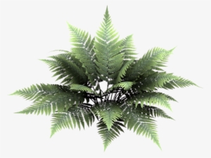 L'île De Kahlan - Msn Hangulatjelek