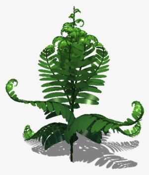 Fern Leaf Colours - Leaf