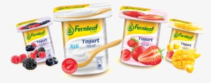 Fernleaf Yogurt Is The Latest Offering From The Dairy - Fernleaf Yogurt
