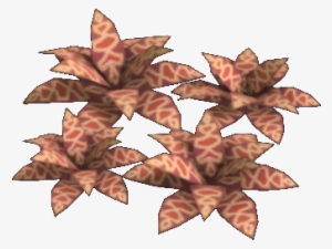 Maple Leaf