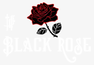 Black Rose 960x720, - Roses Edit
