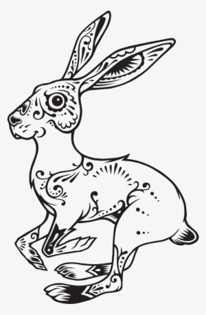 The Meaning Of The Rabbit - Suerte Bunny