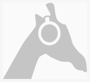 Shadow Hills Mastering Compressor Stereo Valve Monster - Firearm