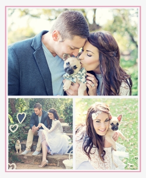 Never Give Up On Your Dreams, It Took Me 10 Years To - Photograph