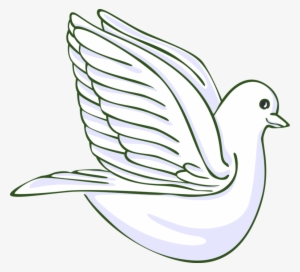 Vector Illustration Of Dove Bird Symbol Symbol Of Peace - Still Life Photography