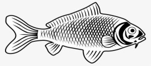Line Art Drawing Fishing Coloring Book - Fish Line Art Png