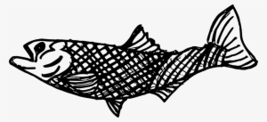 Finest Fish Drawing Png Transparent With Transparent - Fish Drawing Png