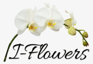 Phoenix, Az Florist - Woodware Clear Stamps - Farewell Goodbye Keep In Touch