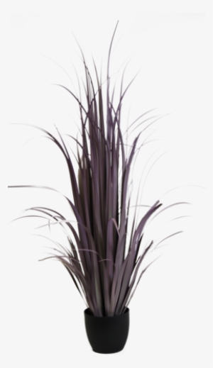 P1524f-5pu - Amazing Green, Inc.